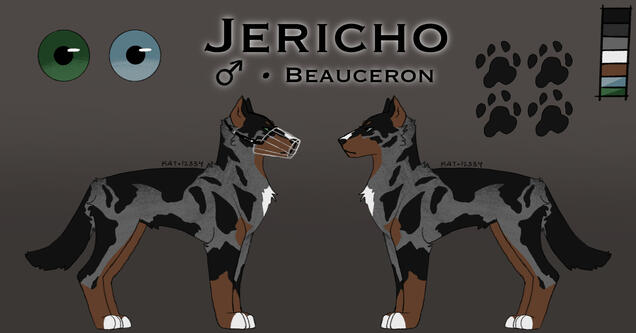Jericho for #10154 on Wolvden